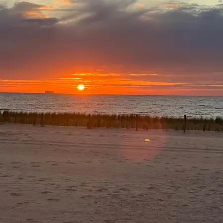 Cosy - Silverway Knokke-Heist