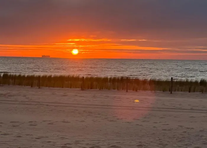 Cosy - Silverway Knokke-Heist